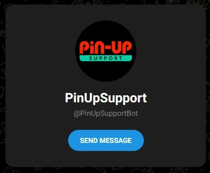 Pin Up Поддержка при регистрации